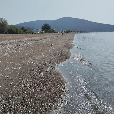 Calypso Two Bedroom Διαμέρισμα