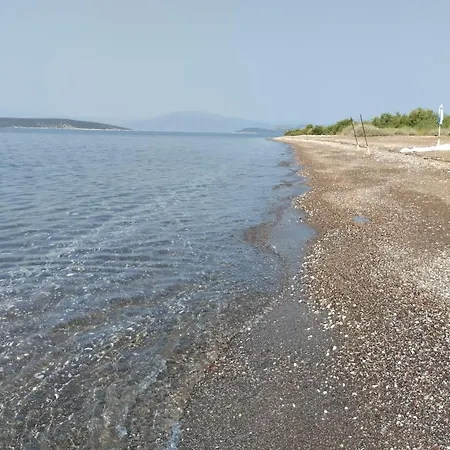 Daire Calypso Two Bedroom *