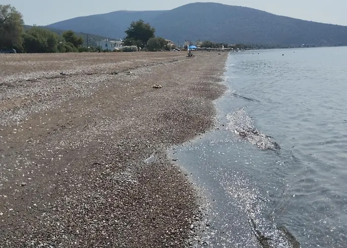 Calypso Two Bedroom 아파트