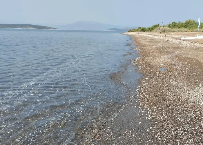 公寓 Calypso Two Bedroom *